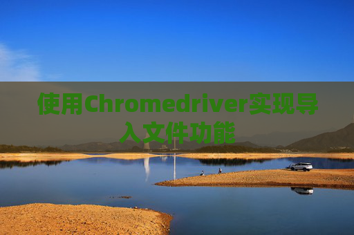 使用Chromedriver实现导入文件功能
